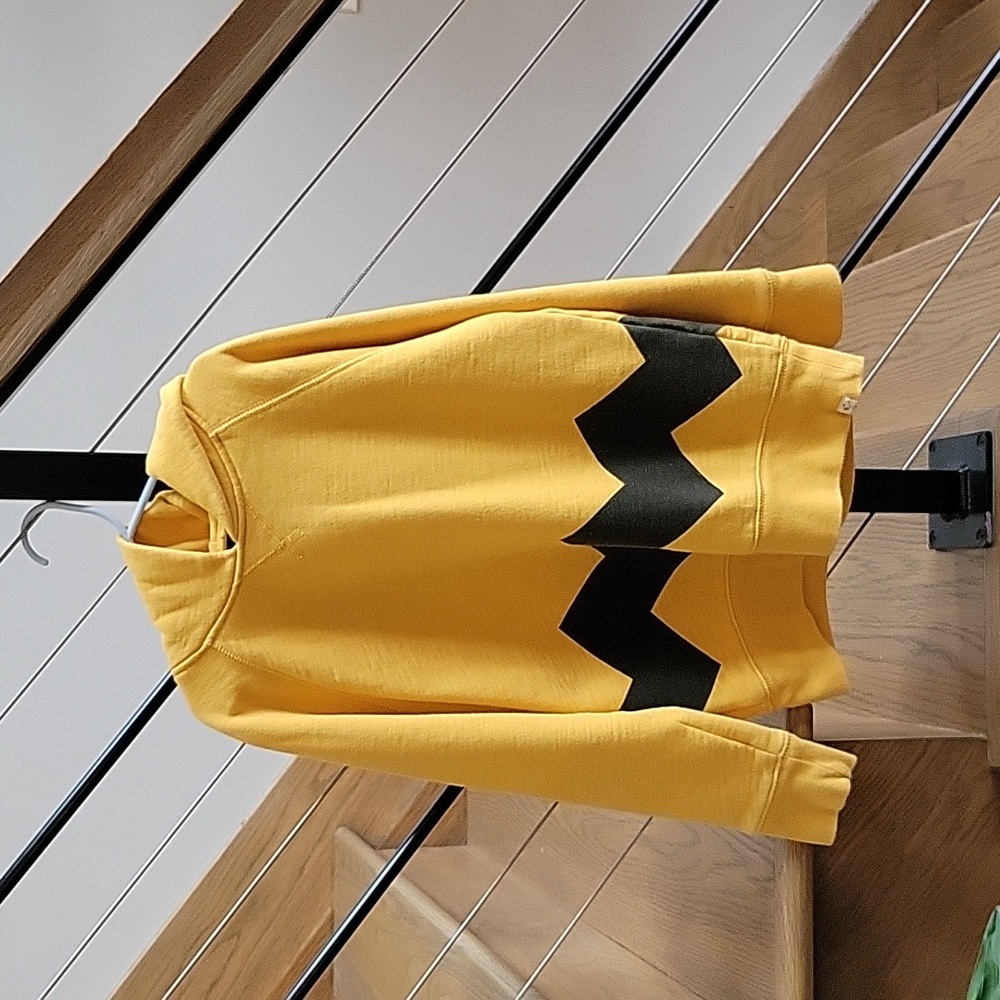 Gap Kids + Peanuts Hoodie